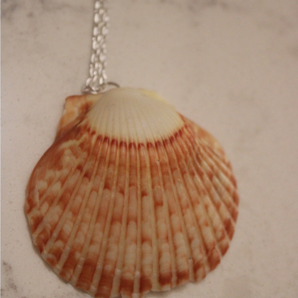 Natural Scallop Shell Pendant Necklace